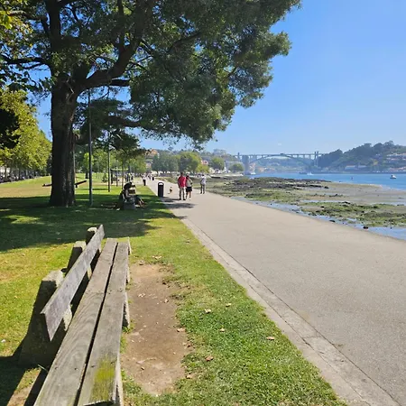 River Blue * Porto